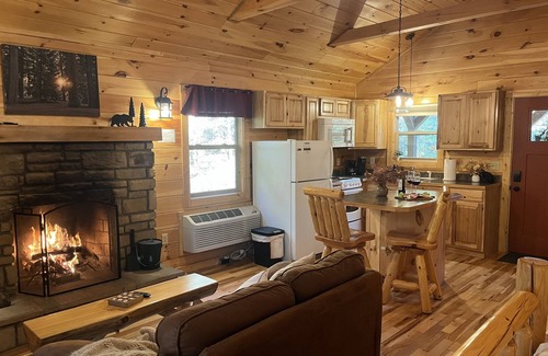 Carbon Hill Cabin | Secluded Cozy Cabin - Hot Tub, Fire Pit, Fireplace