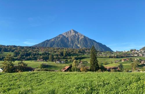 Faulensee Apartment | See und Berge Simply, ohne Dusche