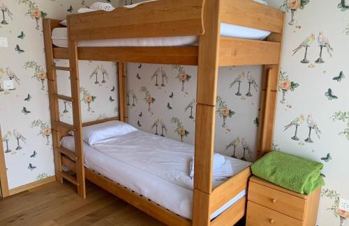 Iseltwald Apartment | Seehaus Lake View 3-Bedroom Apartment