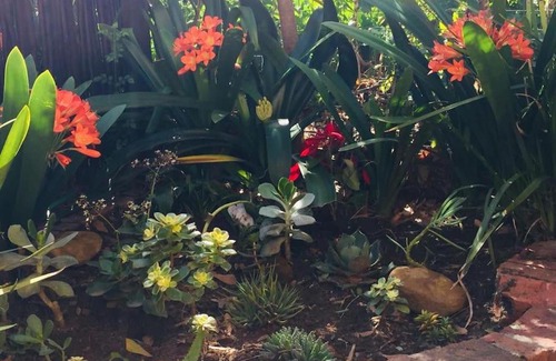 Newlands Apartment | Self-contained, secure, well equipped, Wifi, cottage Newlands