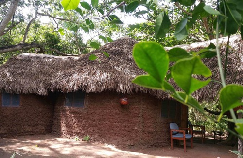 Mloka Bed & Breakfast | Selous Adili Forest Camp