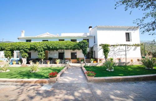 Onil Apartment | Senia Tomaset I