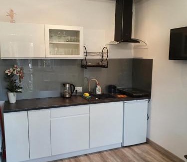 Krynica Morska Apartment | Serce Krynicy