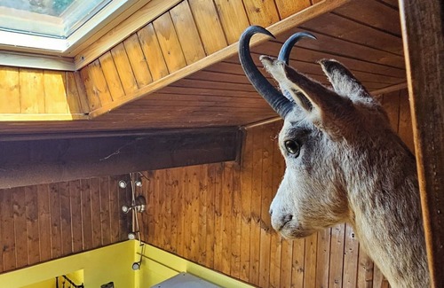 Valjouffrey House | Serene 2-bedroom chalet in Valjouffrey with stunning mountain views