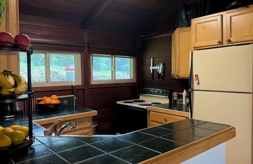 Indian Lake Cabin | Serene Lakeview Cabin Retreat w/Dock, Kayak & SUP at Indian Lake
