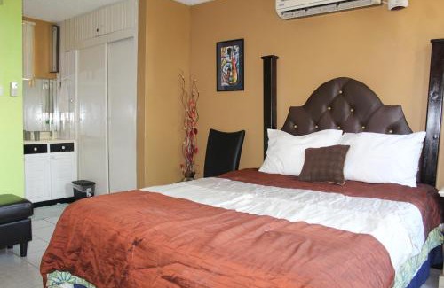 New Kingston Apartment | Serenity at the Oxford