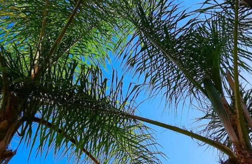 Faulha Villa | Sesimbra Charming Pool Duplex BBK & Garden