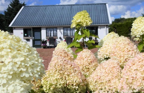 Nuis Bed & Breakfast | Sfeervol Appartement Het Knooppunt