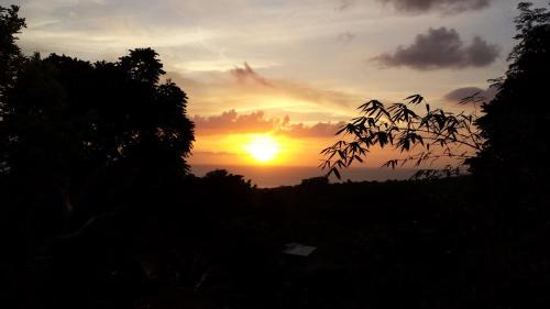 Belmont House | Shades Cottage Guesthouse
