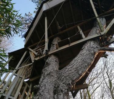 Etretat Bed & Breakfast | SHERWOOD TREE