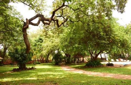 Victoria Falls Hostel | Shoestrings Backpackers Lodge Vic Falls