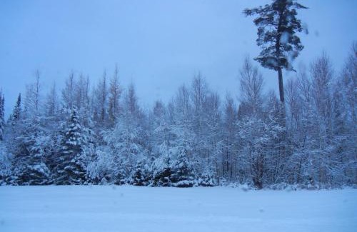 Unorganized Centre Parry Sound Cabin | Shores of Deer Lake