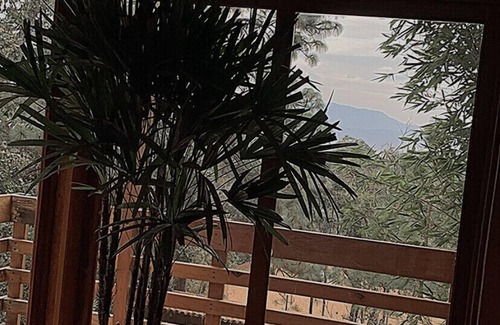 Atemajac de Brizuela Cabin | Sidarta Spa Cabin: we have 10,000 m of land and 600 m of construction
