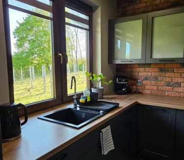 Opatow Villa | Siedlisko na Winnicy