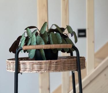 Radziechowy House | Sielskie Chatki - domki Twardorzeczka Lipowa