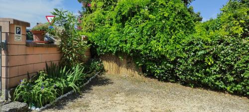 Bagnolo San Vito Apartment | Silver Home