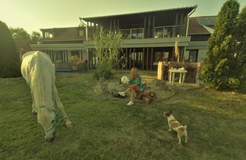 Bekes Bed & Breakfast | Silver Horse Ranch
