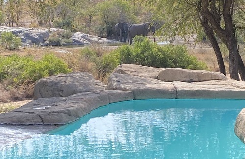 Thorny Bush Game Reserve Villa | Simbavati River Sands