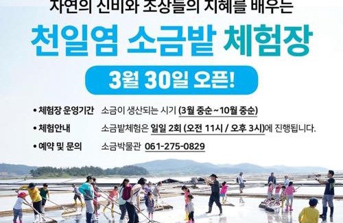 Jeungdo Other | Sinan Solar Salt Healing Camp Caravan