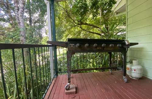 Cougal Apartment | Sine Cera Rainforest Retreat - The Freeman Suite