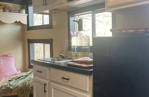 Pine City House | Singing Frog tiny home/spa/breakfast