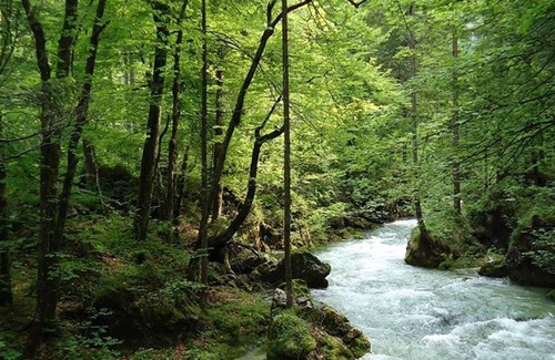 Golling an der Salzach Apartment | Single room with shower, WC - Pension Seiwald