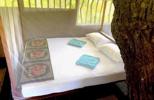 Palatupana Cabin | Single Trees Yala