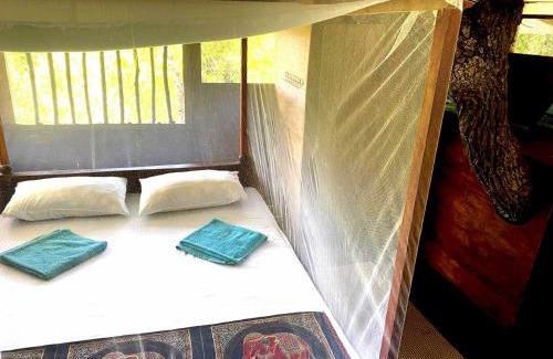 Palatupana Cabin | Single Trees Yala