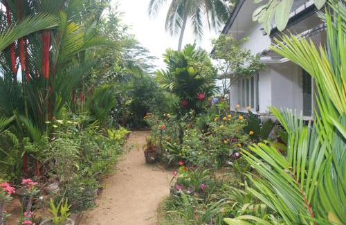 Kotapola House | Sinharaja Tranquil Homestay