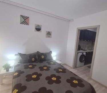 Sector 3 Apartment | Siriului Studio