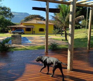 Brumadinho Other | Sitio Recanto sonho meu