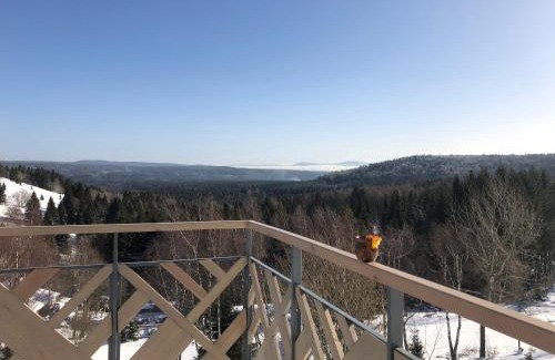 Zieleniec Resort | Skałka Zieleniec