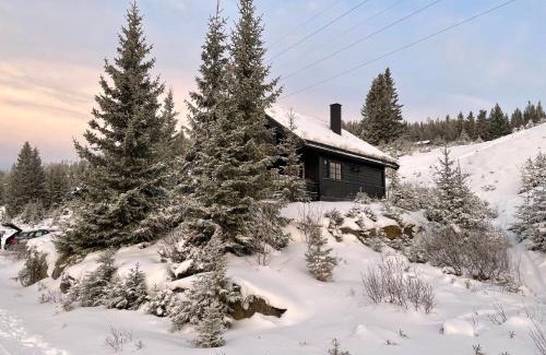 yer Ski Chalet | Ski and Bike-In and Out