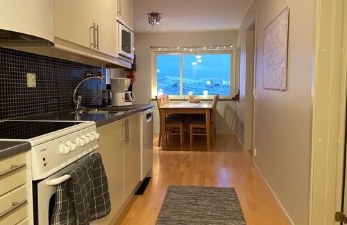 Riksgransen Apartment | Ski in ski out Lägenhet med Fantastisk Utsikt