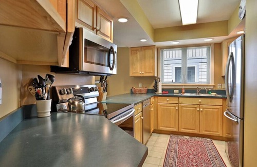 Ludlow Condo | Ski on/off Solitude Condo with Direct Ski Access