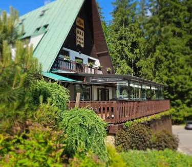 Stare Hamry Hotel | Ski park Gruň