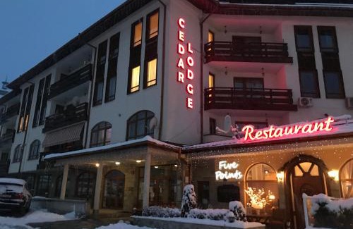 Shiligarnika Apartment | Ski Zone at Gondola, Perfect One Bdrm, Fast WiFi, Netflix, Quiet, Warm