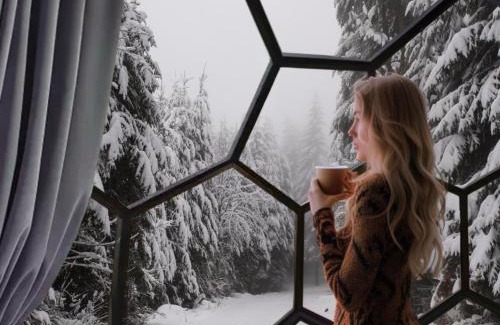 Risogrund Cabin | SKOG - Aurora Igloos Resort
