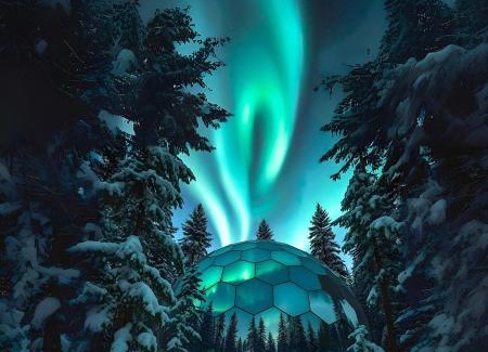 Risogrund Cabin | SKOG - Aurora Igloos Resort