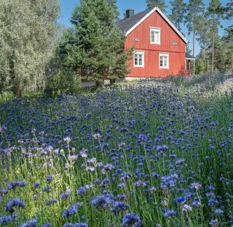 Raseborg Villa | Skogsbacka Torp