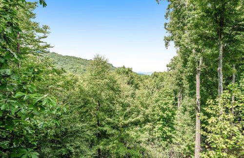 Beech Mountain House | Sky Reach at Beech
