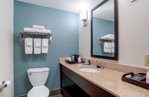 Auburn Hotel | Sleep Inn & Suites Auburn Campus Area I-85