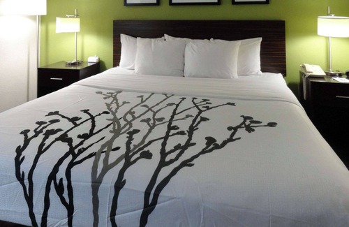 Columbus Hotel | Sleep Inn & Suites Columbus - State University Area