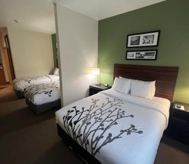 Eau Claire Hotel | Sleep Inn & Suites Conference Center Eau Claire North