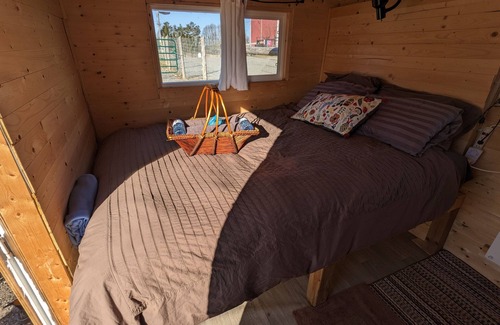 Port Hope Bed & Breakfast | Sleep with Alpacas in Port Hope, an hour away from Toronto
