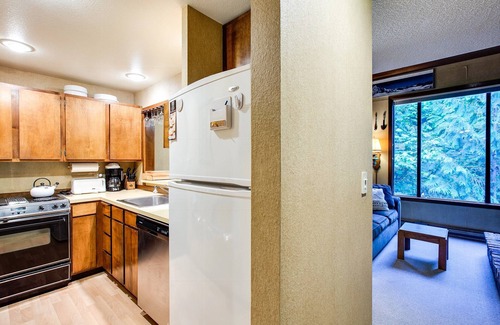 Glacier Condo | Snowater Condo 59 - A Great Family Condo With a Cabin Feel