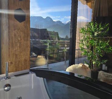 Koscielisko Apartment | Sobiczkowy Dwór Apartamenty-Kasprowy Wierch & SPA