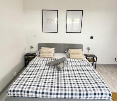Neudorf South House | Soh Rent Strasbourg Wifi Terrasse St Aloise