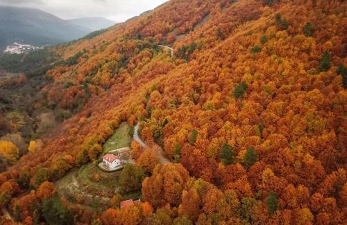 Manteigas House | Solar da Castanha - Forest House