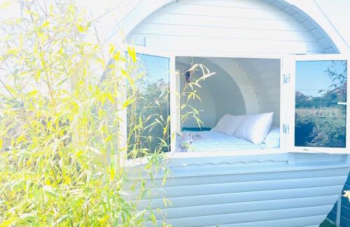 Morpeth House | Solo Glamping Pod - Sleeps 4 - Northumberland